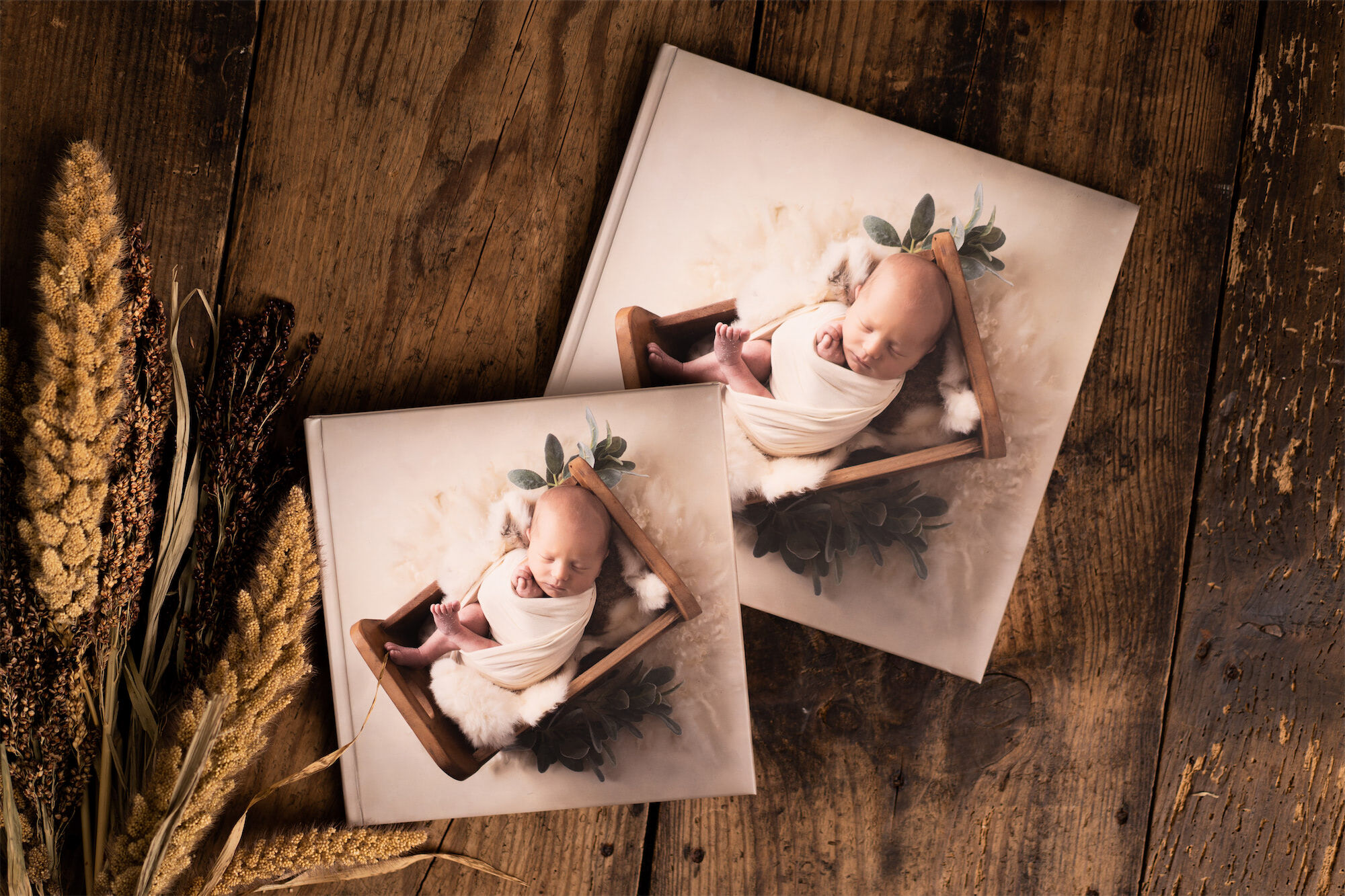 Cushion Cover Album